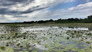 Vreti sa plecati intr-o calatorie de neuitat? Aventura incepe in batranul port al Brailei. Ati fost aici?