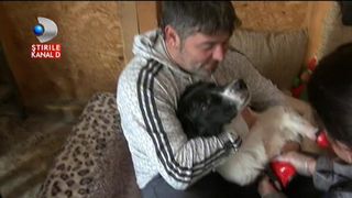 Ce s-a intamplat cu animalutul care avea picioarele sectionate. Catelul a fost salvat si inca se lupta sa traiasca