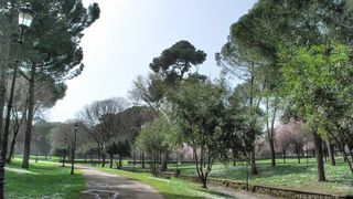 Din ce in ce mai multe atacuri sexuale in Italia. O turista a fost legata si violata intr-un parc din Roma - Autoritatile au declarat septembrie "luna neagra"