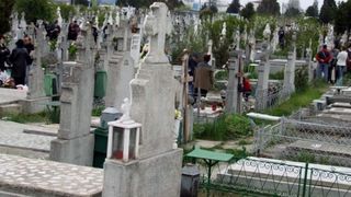 A fost la cimitir, sa viziteze mormantul bebelusului ei, nascut prematur. Cand a ajuns la el, a lesinat pe loc. Ce era acolo