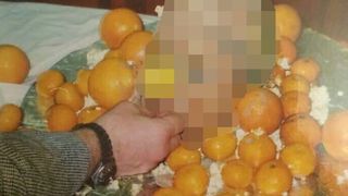 Politistii au descoperit un cap inconjurat de portocale (Sursa foto: mirror.co.uk)