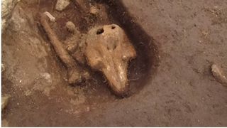 Descoperire bizara realizata de arheologi intr-un cimitir. "Nu am mai intalnit asa ceva pana acum"