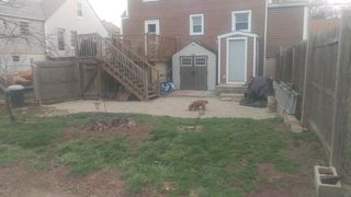 O femeie a descoperit o creatura extrem de ciudata in spatele casei. Toti vecinii au venit sa o vada, dar nimeni nu si-a dat seama ce era