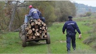 A platit cu viata pentru cateva lemne. Un barbat din Mures fost impuscat mortal de un politist