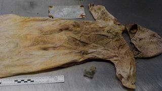 A simtit mereu ca ceva este in neregula cu sicriul fiului ei. La exhumare, toata lumea a avut parte de un soc