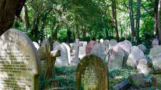 In fiecare an, in ziua mortii, pe mormantul copilului lor, aparea ceva ciudat. Dupa 70 de ani, au aflat adevarul. Ce se intampla de fapt