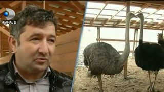 Cat mai costa masa de Craciun? Reporterii Kanal D au facut calculele pentru tine!