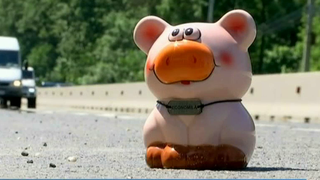 "Economila" te invata cum sa faci super poze de vacanta cu bani putini! Urmeaza-i sfaturile si buzunarul tau iti va multumi!