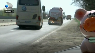 Mancarea naturala inseamna automat ceva scump ? Nici vorba, daca stii de unde sa te aprovizionezi. Afli toate raspunsurile in rubrica "Cat te costa?"