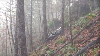 Descoperire misterioasa intr-o padure! Era data disparuta de 27 de ani!