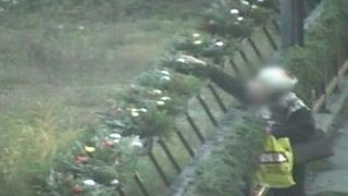 S-au furat decoratiunile de Craciun din centrul Valcii! Cine sunt autorii furtului nesimtit