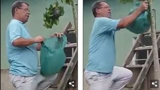 S-a urcat in copac ca sa dea jos un cuib de viespi! Ce s-a intamplat apoi e tragic