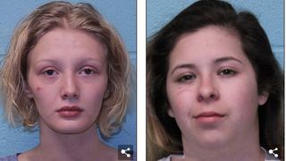 I-au omorat animalele de companie, au imprastiat sange pe peretii din bucatarie si au dat foc la masina familiei! Doua eleve, cruzime fara margini fata de o colega de liceu