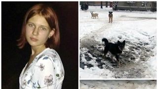 Facuta bucati de maidanezi cand se intorcea de la scoala! O eleva de 12 ani a fost sfasiata de vie de haita de maidanezi din localitate