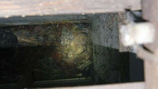 S-au mutat in locuinta unei femei disparute, dar ce au gasit in mansarda ii va bantui toata viata! Politistii au impanzit imediat zona