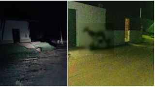 O creatura ciudata a bagat spaima in localnici! "Ne sfasie cainii", spun oamenii ingroziti