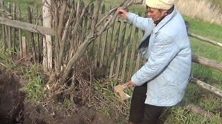 Descoperire SOCANTA facuta de un barbat in timp ce planta cartofi in gradina. Explicatia sotiei l-a ingrozit si a mers imediat la Politie