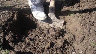 Crima ingrozitoare in Iasi! Si-a ingropat concubina de vie pe un camp, apoi a recunoscut gestul teribil