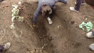 Si-a ingropat iubita de vie. Barbatul din Iasi a crezut ca a lovit-o mortal si si-a chemat fiul sa-l ajute sa stearga urmele. Nu o sa-ti vina sa crezi ce pedeapsa a primit