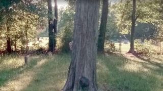 Imagini tulburatoare surprinse intr-un cimitir! Fantoma unei fetite a fost filmata acolo! Totul e surprins pe camera! Ai curaj sa te uiti?