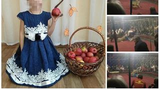 Momente terifiante &icirc;n timpul unui spectacol de circ! O fetiţă de numai patru ani a fost sf&acirc;şiată de un leu! Imagini dramatice