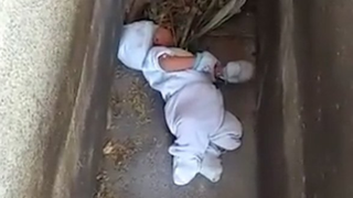 Un bebeluş de numai 9 luni, abandonat de propria mamă în cimitir! De ce a recurs femeia la un asemenea gest