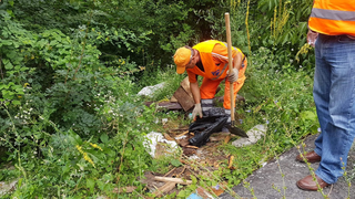 Oseminte găsite de muncitori care săpau &icirc;n curtea unui liceu din Braşov