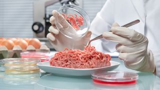 Premieră mondială! De acum, pe piața mondială a apărut carnea făcută &icirc;n laborator! Are gust de vită, dar e produsă sintetic!