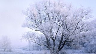 Atenţionări ANM. Cod galben de ceaţă şi chiciură &icirc;n nouă judeţe