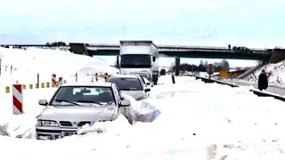 Ninsorile fac prăpăd! Trafic rutier complet blocat din cauza zăpezii și a copacilor căzuți