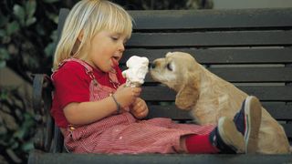 Gest impresionant făcut de o fetiţă. Şi-a donat banii de Crăciun pentru câinii unui adăpost din Carei