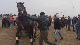 Imagini de o cruzime șocantă surprinse &icirc;n D&acirc;mbovița! Mai mulți cai au fost snopiți &icirc;n bătaie pentru că nu au c&acirc;știgat un concurs