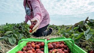 Muncești &icirc;n străinătate? FISCUL a pus ochii pe tine! Au &icirc;nceput deja să &icirc;i someze pe rom&acirc;nii din Diaspora! E jale mare printre toți cei care lucrează afară! Ce pățesc?