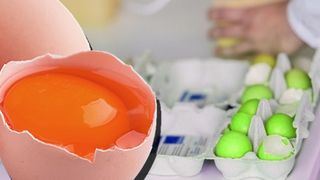 ALERTĂ &icirc;n Teleorman! Patru MILIOANE de ouă, infectate cu Fipronil! Efectele devastatoare pe care le poate avea asupra organismului