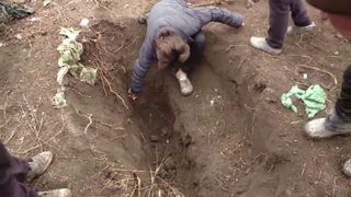 Dezvăluiri cutremurătoare despre moartea unei celebre cântărețe de muzică populară! A fost îngropată de vie la numai 43 de ani! "Se auzeau zgomote puternice din cripta ei!"