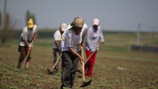 Veste bună pentru zilieri. Legea care &icirc;i favorizează a intrat &icirc;n vigoare