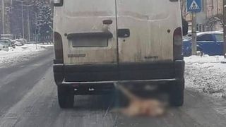 VIDEO. Porci morţi t&acirc;r&acirc;ți cu maşină prin Reşiţa. Cum și-a motivat șoferul gestul. E halucinant