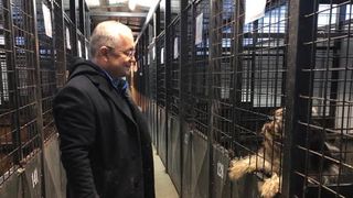 Vizita lui Emil Boc la padocul din Cluj a stârnit reacții amuzante pe net: "Câinii ăia au mai multă căldură decât votanții lui Firea din București"