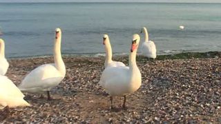 Temperaturi neobișnuite la malul mării! C&acirc;t au indicat astăzi termometrele &icirc;n Constanța