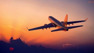 VIDEO. Momentul incredibil &icirc;n care un bărbat urinează &icirc;n timp ce avionul se afla &icirc;n zbor