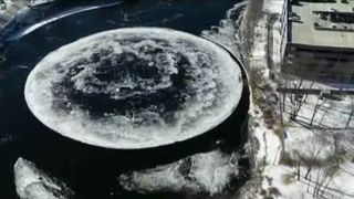 Spectacol rar al naturii! Ce a apărut pe un r&acirc;u i-a uimit pe locuitori- VIDEO