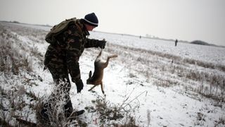 Goana după iepuri! Sute de rozătoare din Arad au fost capturate pentru a fi mutate în alte județe