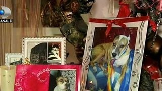 S-a răzbunat pe câinele vecinilor