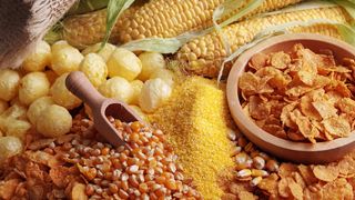 Paradoxul rom&acirc;nesc! Suntem campioni europeni la producția de porumb, dar importăm de la alții!