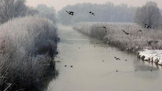 Peisaj de vis în Delta Dunării. Pescarii încă ies în larg