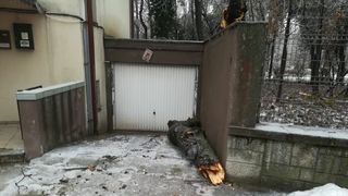 MAI: &Icirc;n Capitală, au fost &icirc;ndepărtați peste 700 de copaci căzuți; 50 de mașini au fost avariate