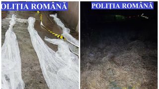 Polițiștii constănțeni au efectuat mai multe percheziții la persoane bănuite de furt de combustibil!