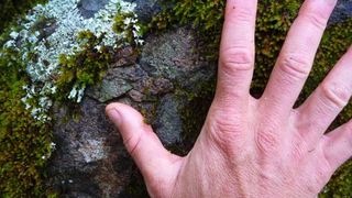 Rom&acirc;nia, lovită din toate părțile! După ce a fost declarată epidemie națională, un alt anunț ne &icirc;ngrozește: "Dumnezeu de pedepsește!"