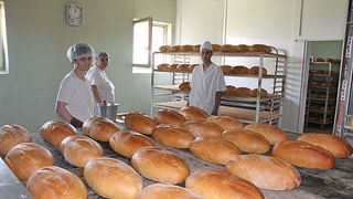 Suntem pe locul 1 in Europa la consumul de paine, dar si la risipa alimentara! Cu ce arunca romanii, s-ar putea hrani o tara intreaga!