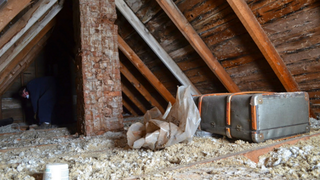 O femeie a ținut timp de 20 de ani &icirc;n pod o comoară. Cadoul primit de la mătușa ei valorează o avere